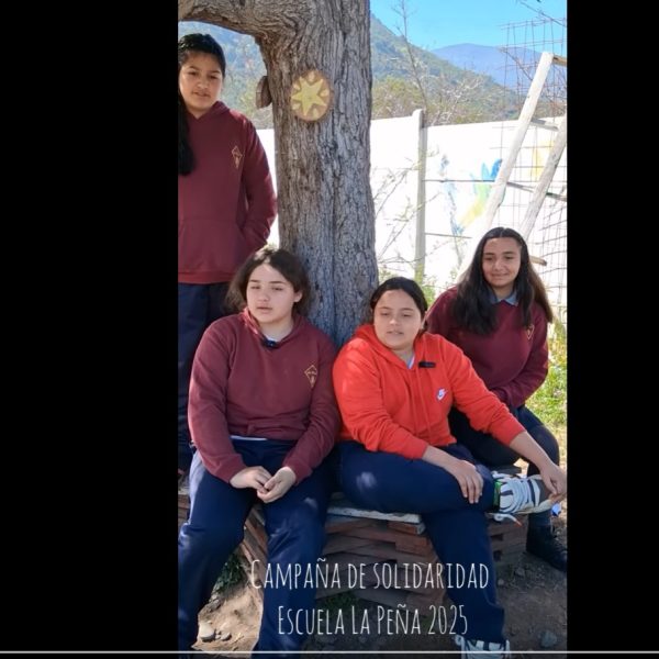 Campaña Solidaria 7° Básico